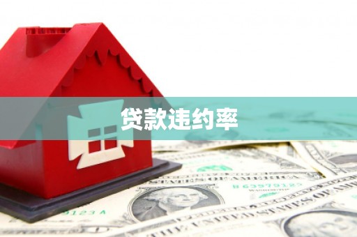黄岛贷款违约率