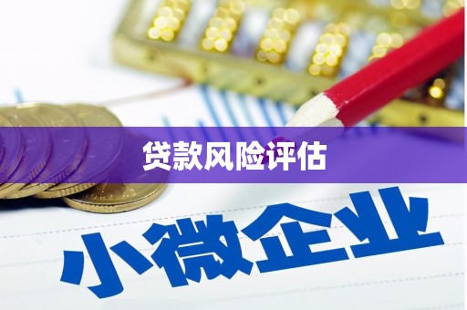 黄岛贷款风险评估