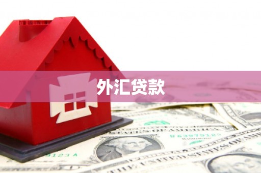 黄岛外汇贷款