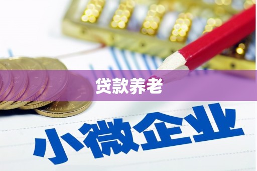 黄岛贷款养老