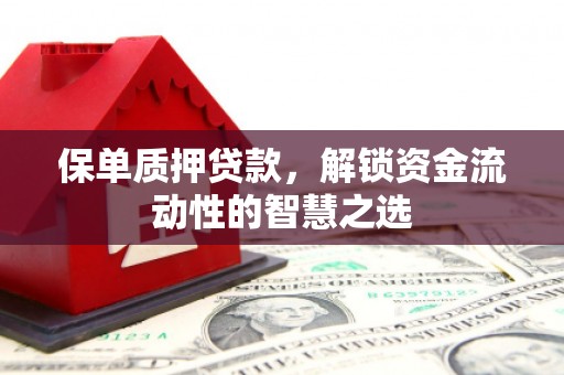黄岛保单质押贷款，解锁资金流动性的智慧之选