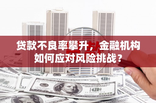 黄岛贷款不良率攀升，金融机构如何应对风险挑战？