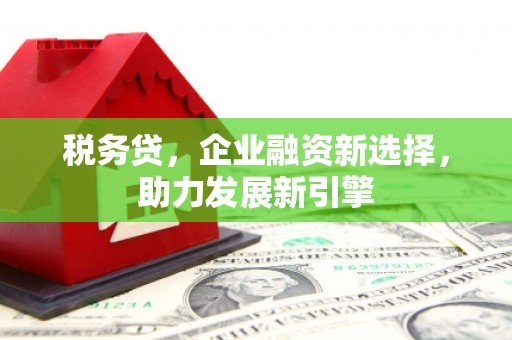 黄岛税务贷，企业融资新选择，助力发展新引擎