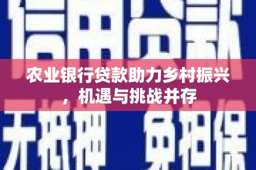 黄岛农业银行贷款助力乡村振兴，机遇与挑战并存