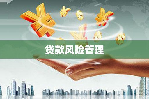 黄岛贷款风险管理