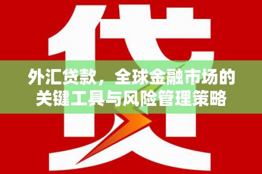黄岛外汇贷款，全球金融市场的关键工具与风险管理策略