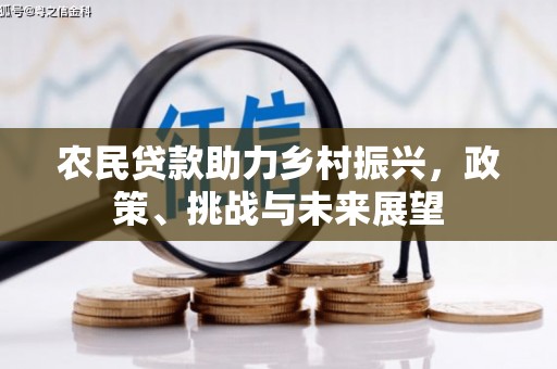 黄岛农民贷款助力乡村振兴，政策、挑战与未来展望