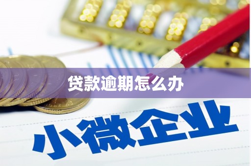 黄岛贷款逾期怎么办