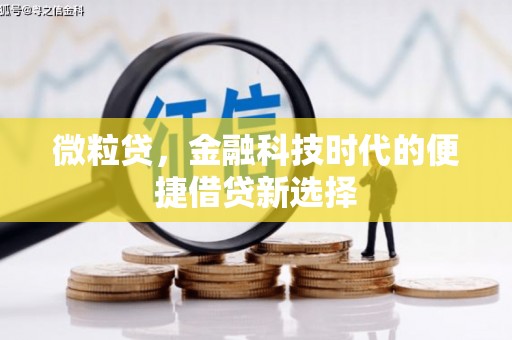 黄岛微粒贷，金融科技时代的便捷借贷新选择