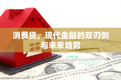 黄岛消费贷，现代金融的双刃剑与未来趋势