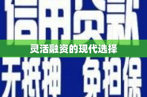 黄岛灵活融资的现代选择